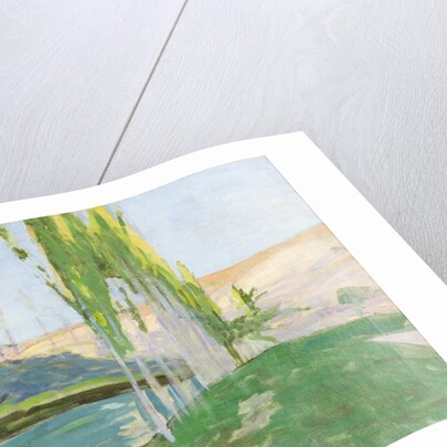 Poplars Growing near a Watercourse by Sven Richard Bergh