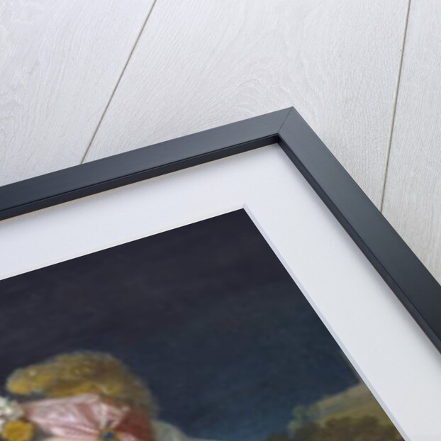 Portrait of a Lady as Pomona by Jean Ranc