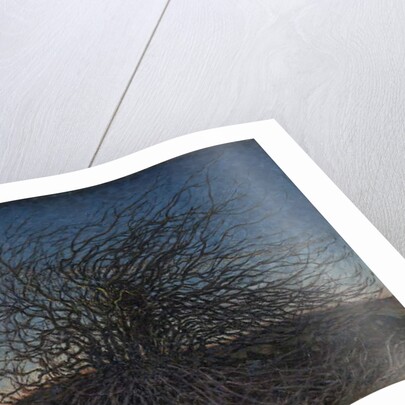 Spring evening, 1896 by Nils Kreuger