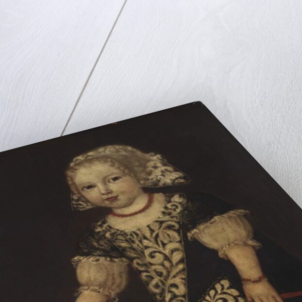 A Young Girl by English School