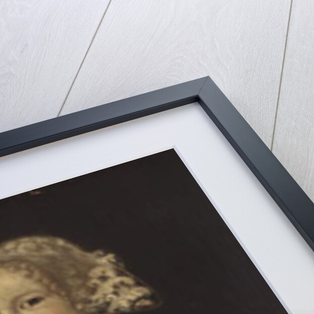 A Young Girl by English School