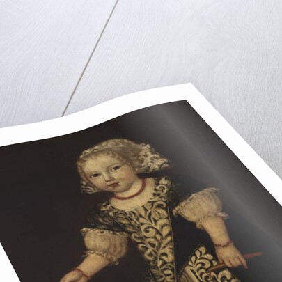 A Young Girl by English School