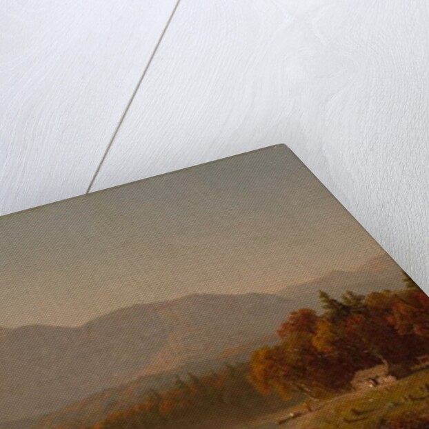 The Duck Pond, 1855-60 by Jean Baptiste Camille Corot