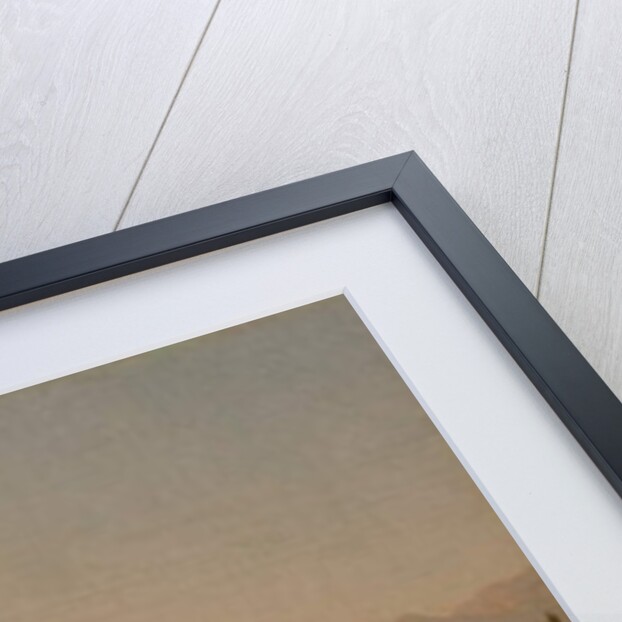 The Duck Pond, 1855-60 by Jean Baptiste Camille Corot