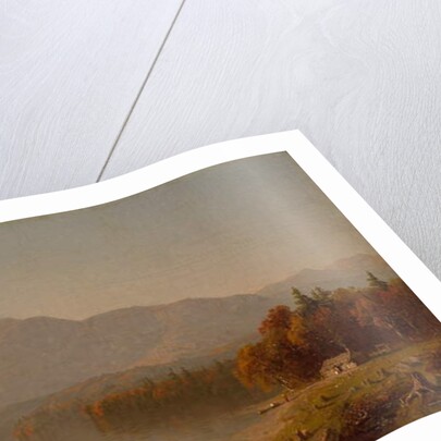 The Duck Pond, 1855-60 by Jean Baptiste Camille Corot