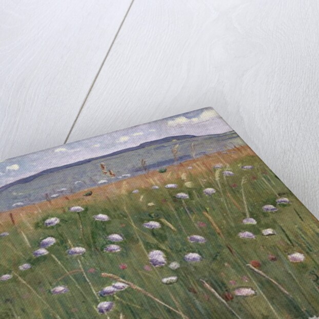 Meadow Piece, c.1901 by Ferdinand Hodler