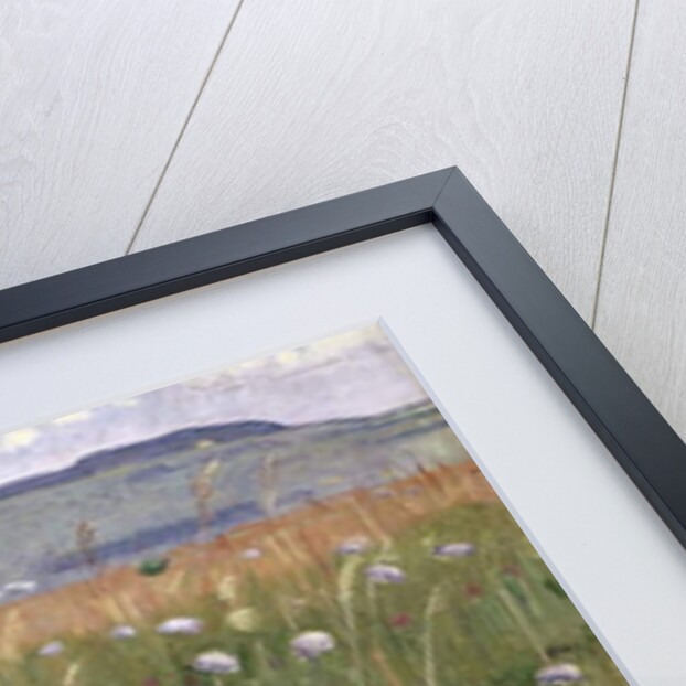 Meadow Piece, c.1901 by Ferdinand Hodler