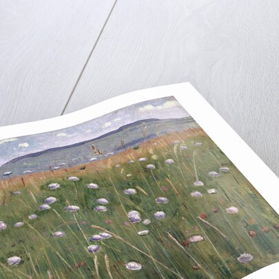 Meadow Piece, c.1901 by Ferdinand Hodler