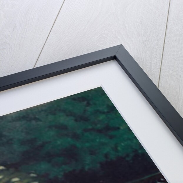 The Pond, 1909 by Felix Edouard Vallotton