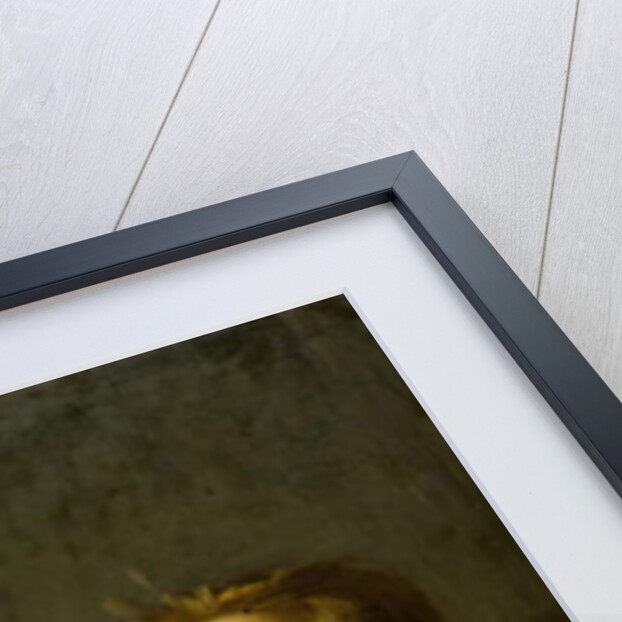 Boy with a Dead Hare by Frans Hals