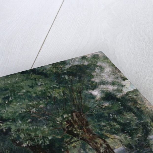 Willow Trees at the Rhone, c.1885 by Ferdinand Hodler