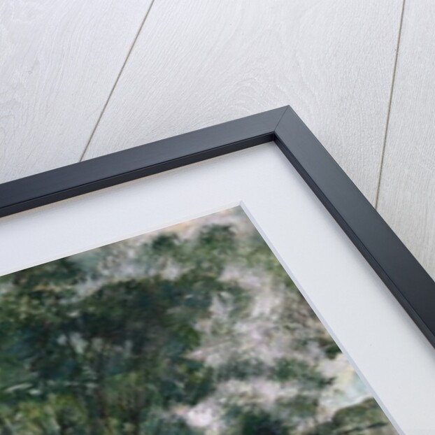 Willow Trees at the Rhone, c.1885 by Ferdinand Hodler