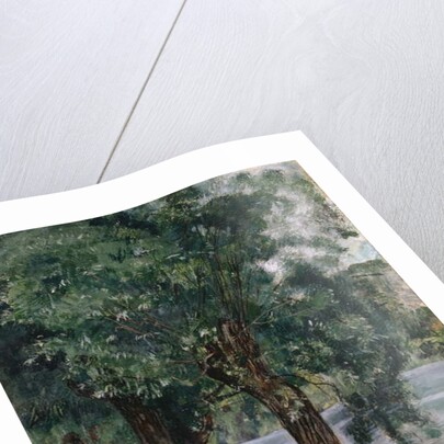 Willow Trees at the Rhone, c.1885 by Ferdinand Hodler