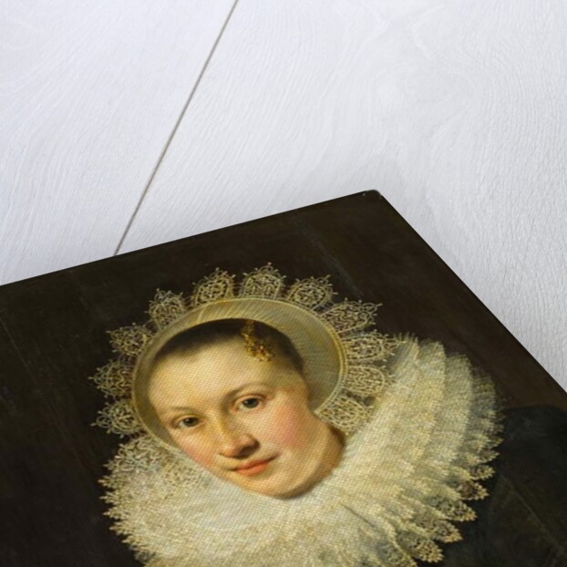 Portrait of a Young Woman by Michiel Jansz. van Miereveld