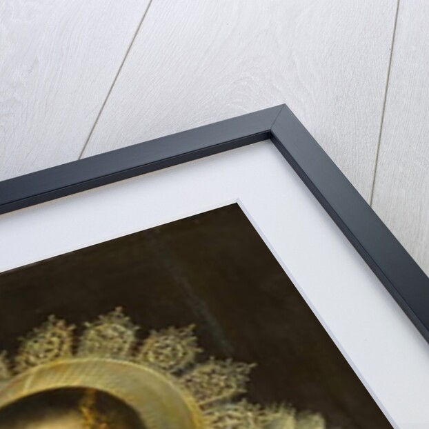 Portrait of a Young Woman by Michiel Jansz. van Miereveld