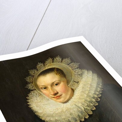 Portrait of a Young Woman by Michiel Jansz. van Miereveld