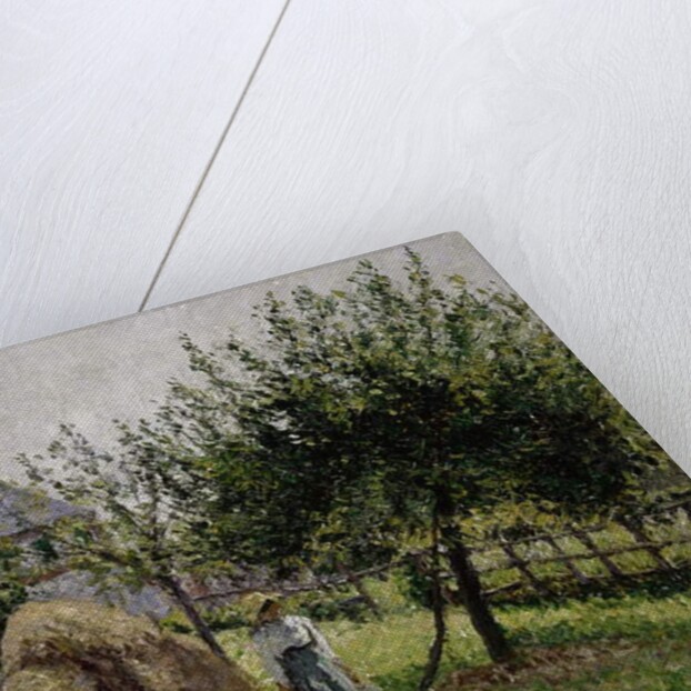 Apple Trees in Eragny, Sunny Morning, 1903 by Camille Pissarro