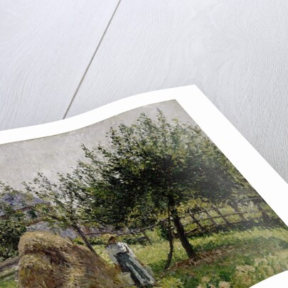 Apple Trees in Eragny, Sunny Morning, 1903 by Camille Pissarro