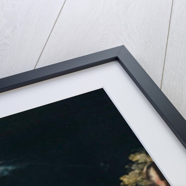 The Adoration of the Shepherds by Frederik Valckenborch