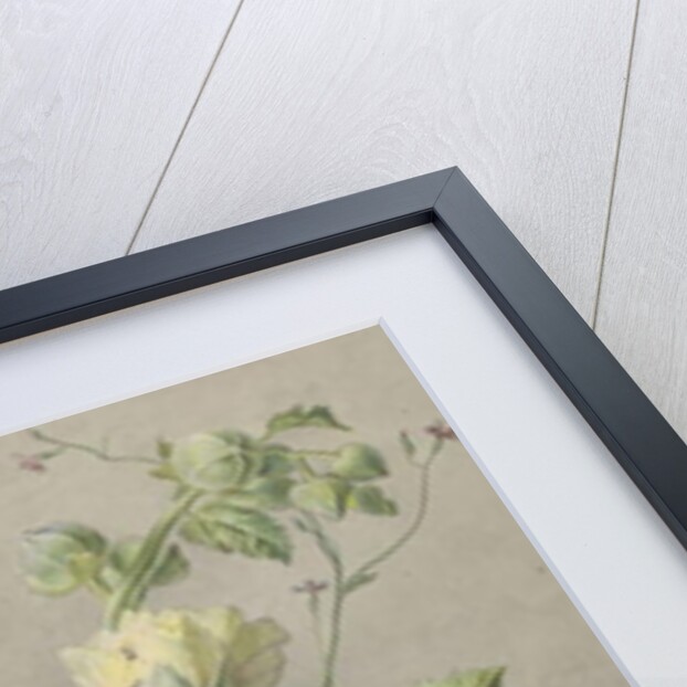 Floral Still Life, c.1800-25 by Georgius Jacobus Johannes van Os