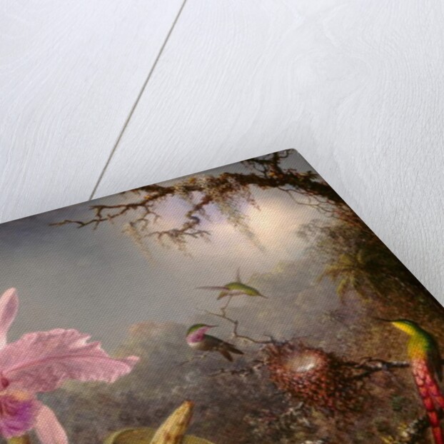 Cattleya Orchid and Three Hummingbirds, 1871 by Martin Johnson Heade