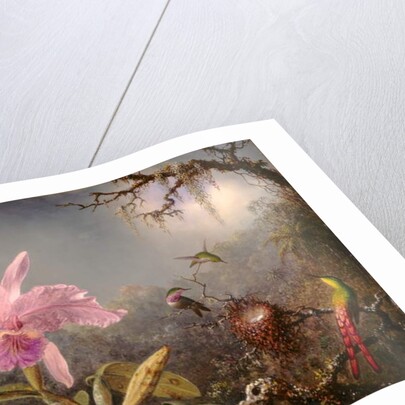 Cattleya Orchid and Three Hummingbirds, 1871 by Martin Johnson Heade