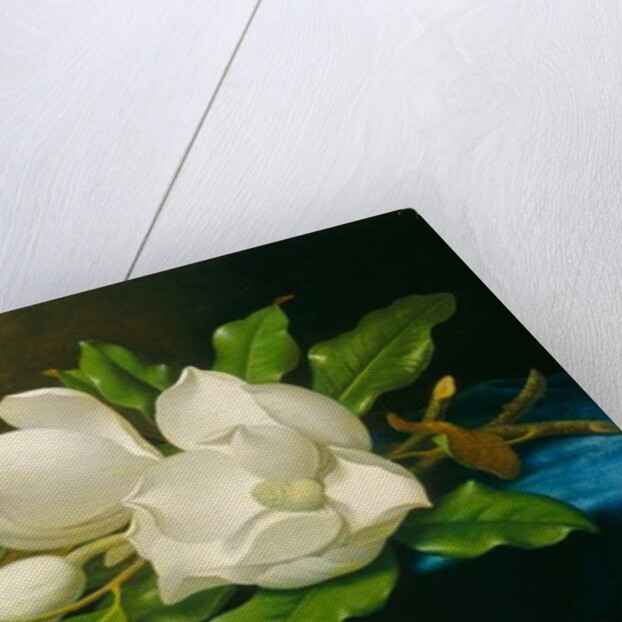 Giant Magnolias on a Blue Velvet Cloth, c.1890 by Martin Johnson Heade
