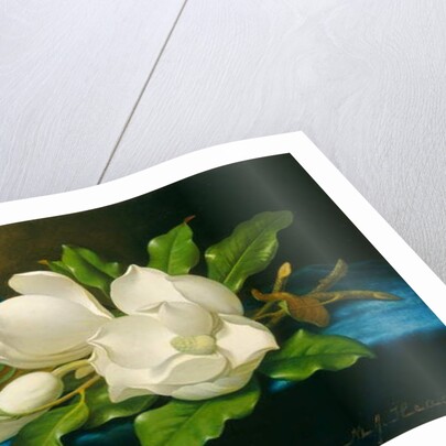 Giant Magnolias on a Blue Velvet Cloth, c.1890 by Martin Johnson Heade