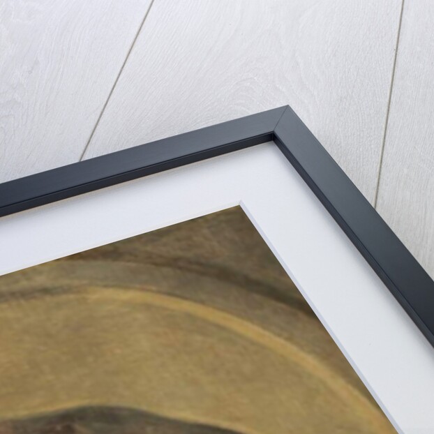 A Young Man in a Large Hat, 1626-29 by Frans Hals