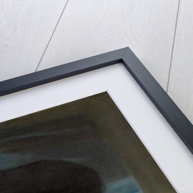 Portrait of a Member of the Haarlem Civic Guard, c.1636-8 by Frans Hals