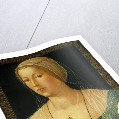Portrait of a Young Woman, c.1508 by Gerolamo di Benvenuto