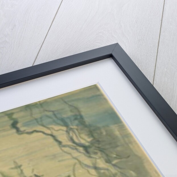 Underwater Scene by Robert Caney