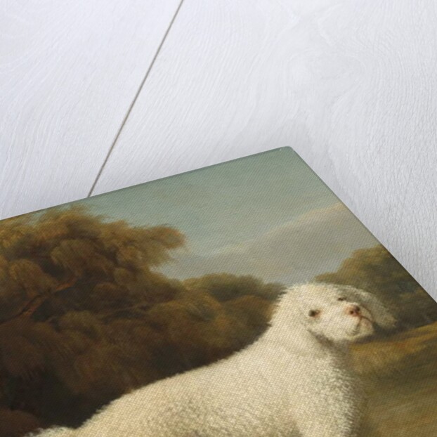 White Poodle in a Punt, c.1780 by George Stubbs