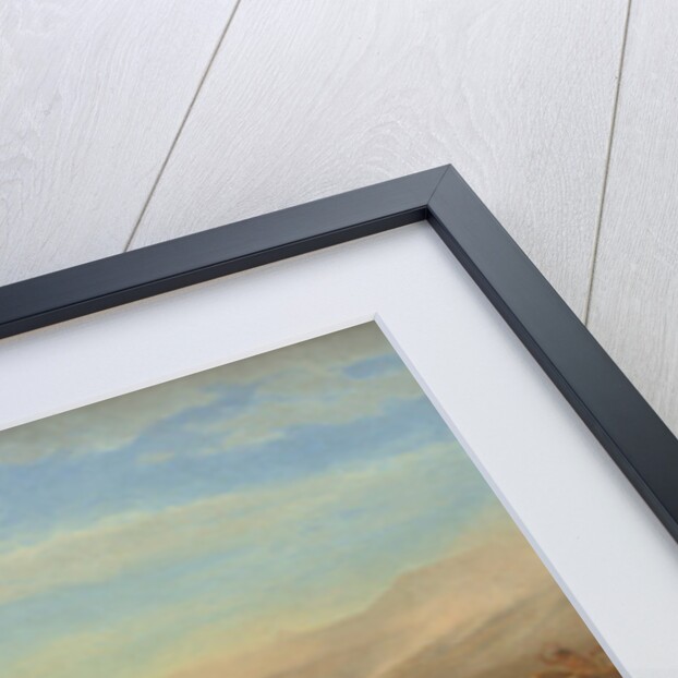 The Last of the Buffalo, c.1888 by Albert Bierstadt