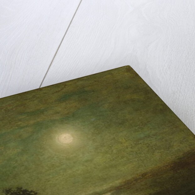 Moonlight, c.1886-95 by Ralph Albert Blakelock