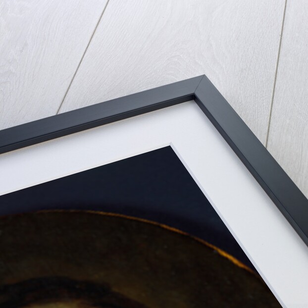 Bust of a Man, c.1635-40 by Gerrit or Gerard Dou