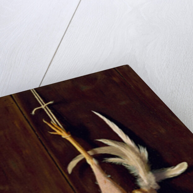 Plucked Clean, 1882 by William Michael Harnett