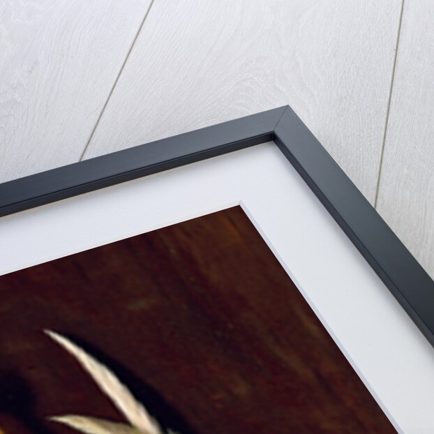 Plucked Clean, 1882 by William Michael Harnett