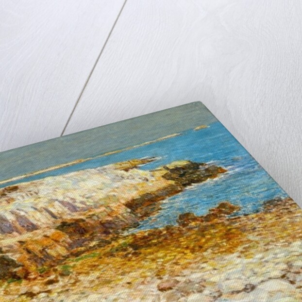 A North East Headland, 1901 by Childe Frederick Hassam