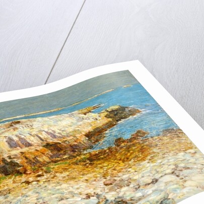A North East Headland, 1901 by Childe Frederick Hassam