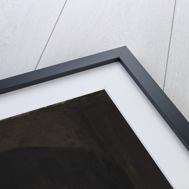 Portrait of King Erik XIV, c.1560 by Domenicus Verwilt