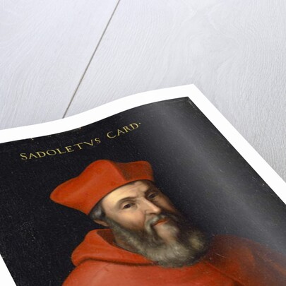 Portrait of Jacopo Sadoleto, c.1560 by Cristofano dell' (and workshop) Altissimo