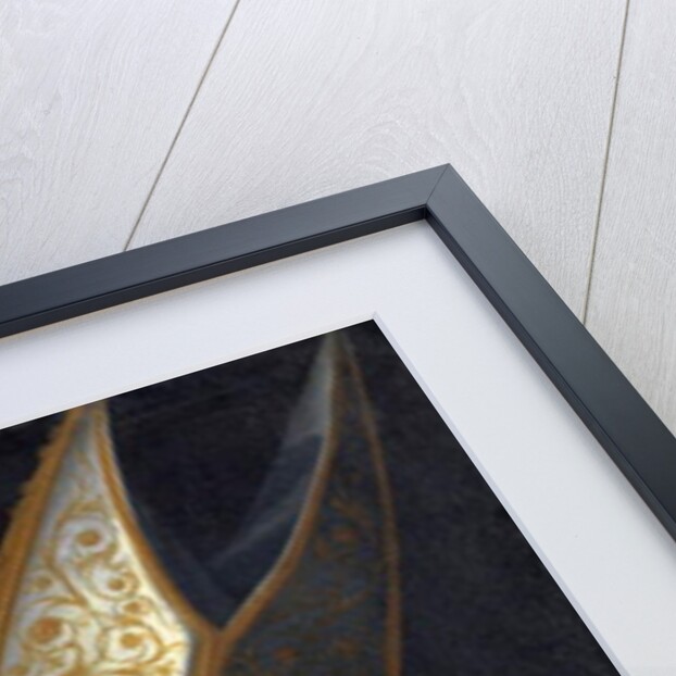 Portrait of Pope Pius II, c.1560 by Cristofano dell' Altissimo