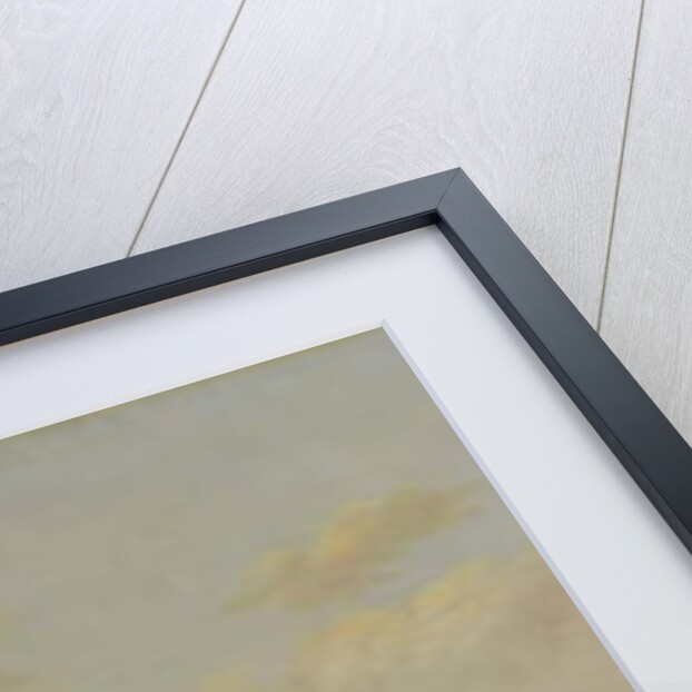 A View of the Maas at Dordrecht, c.1645-46 by Aelbert Cuyp