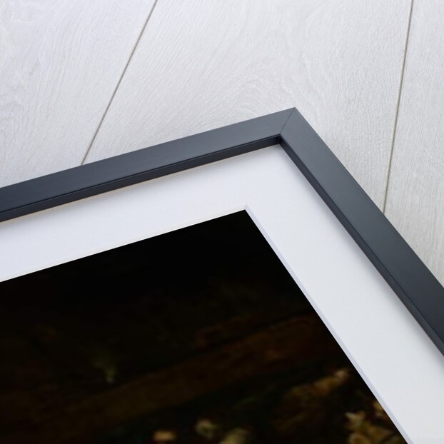 Blessed Bernard Tolomei Interceding for the Cessation of the Plague in Siena, c.1735 by Giuseppe Maria Crespi