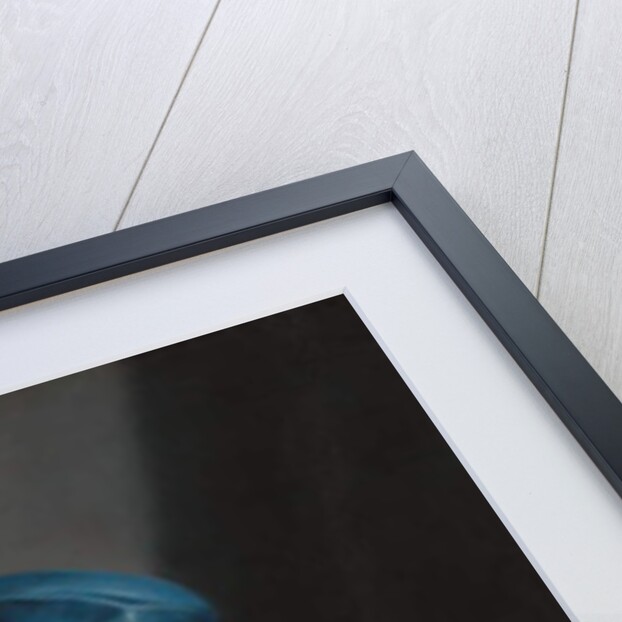 David with the Head of Goliath, c.1645-50 by Guido Cagnacci