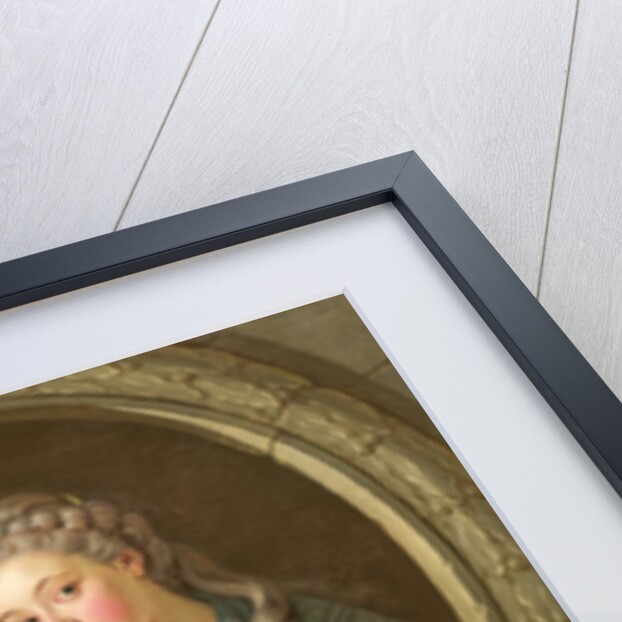 The Camera Obscura, 1764 by Charles-Amedee-Philippe van Loo