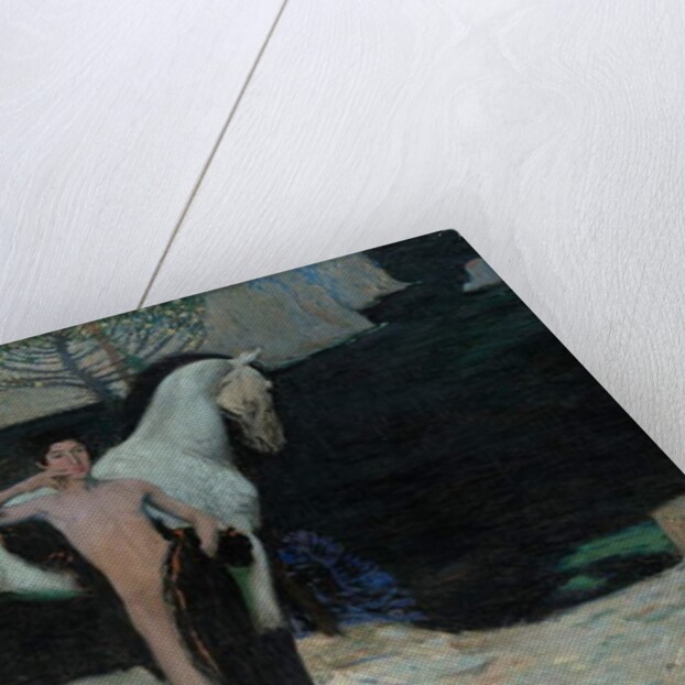 Black Lake, 1904 by Jan Preisler