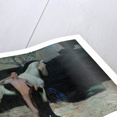 Black Lake, 1904 by Jan Preisler