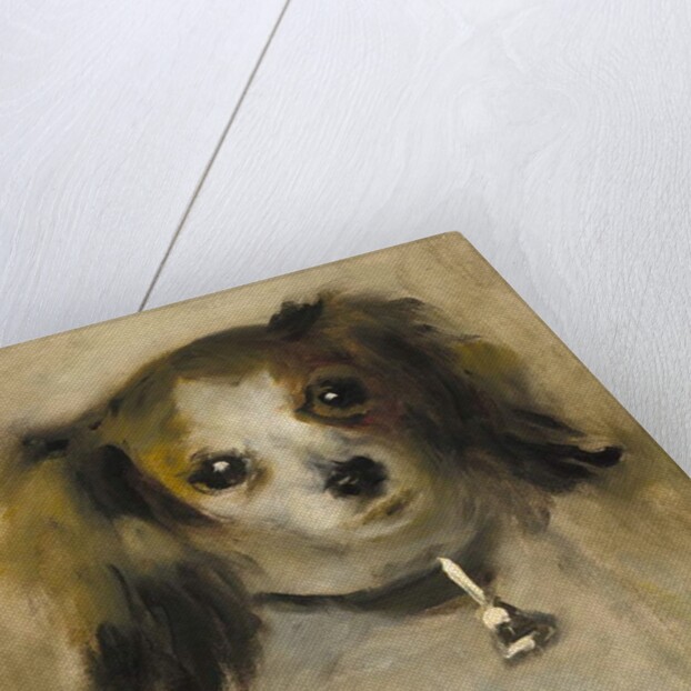 Head of a Dog, 1870 by Pierre Auguste Renoir